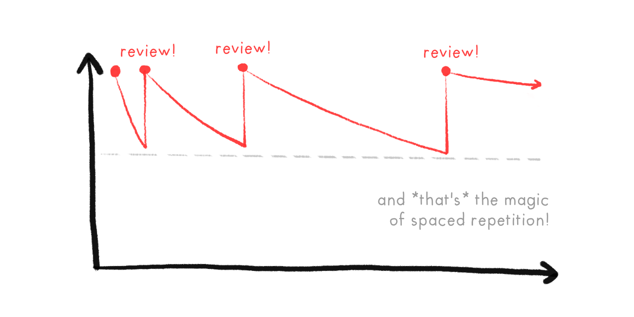 With more and more reviews, the forgetting curve gets flatter.