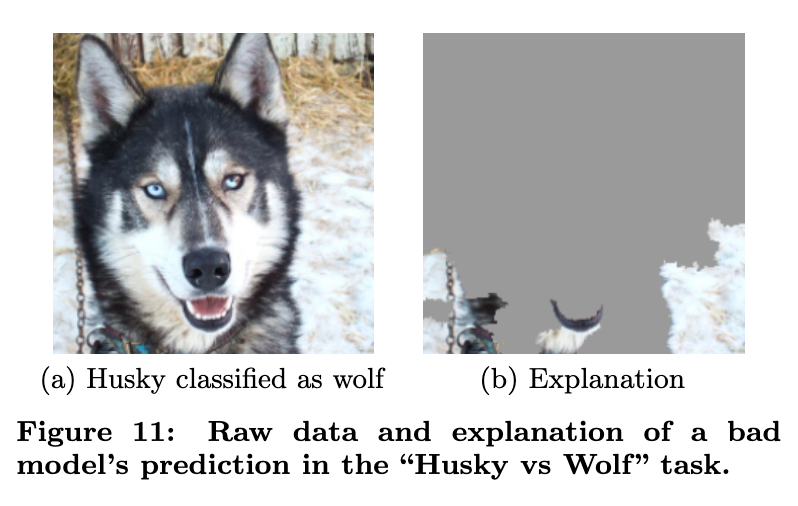 Figure from the paper, showing that wolves are detected not by their actual wolf-like-ness, but SNOW.